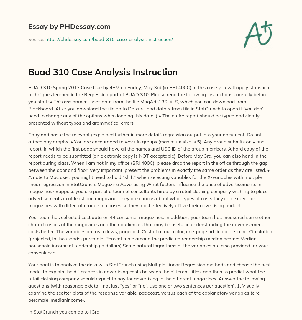Buad 310 Case Analysis Instruction essay