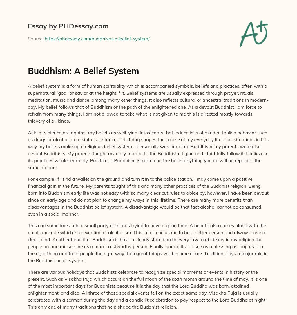 Buddhism: A Belief System essay