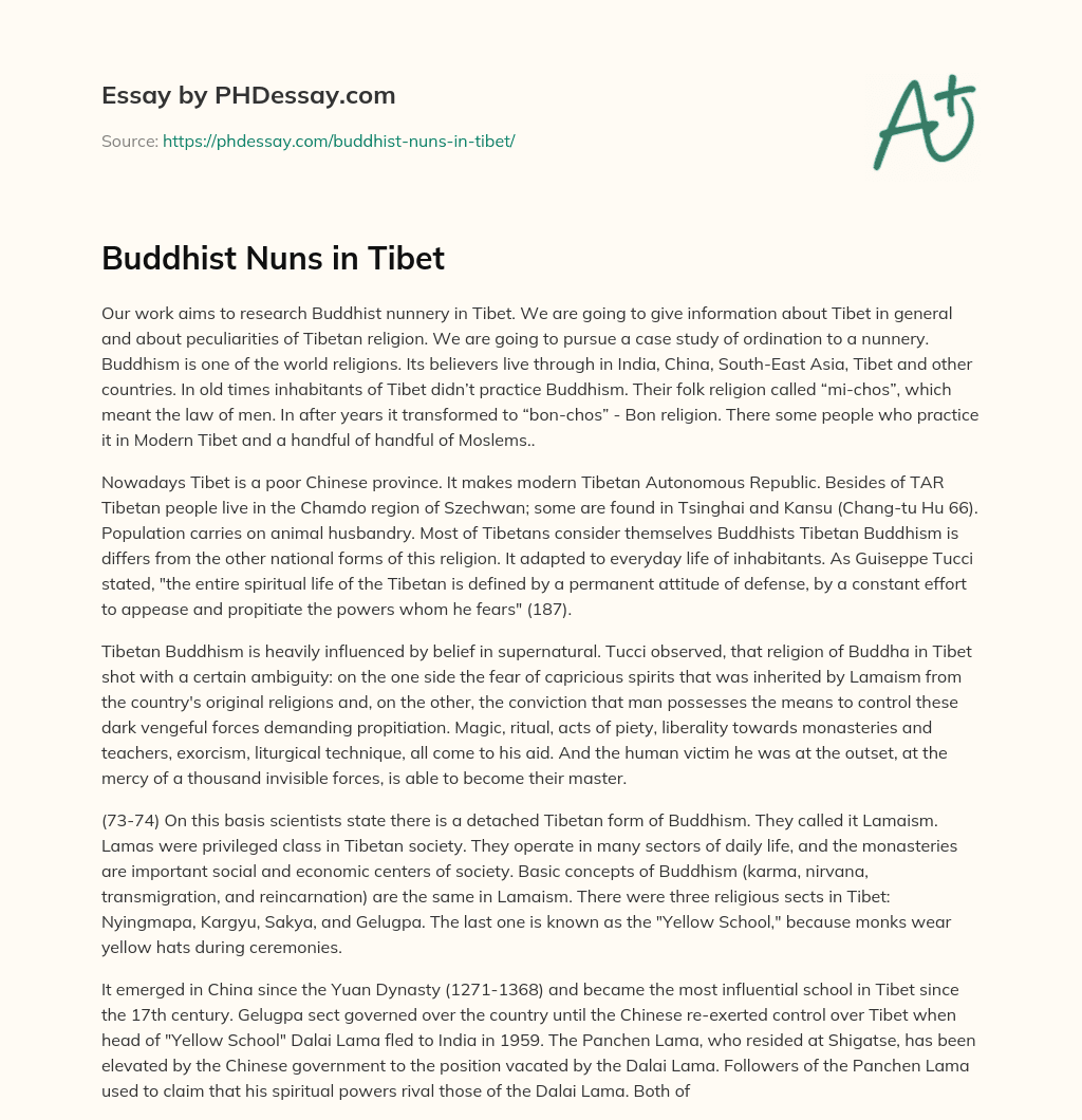 Buddhist Nuns in Tibet essay