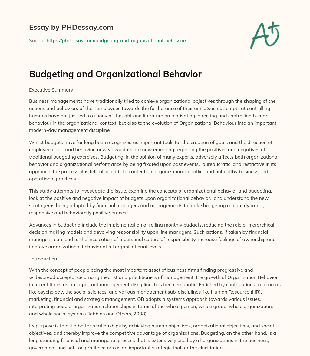 Budgeting and Organizational Behavior essay