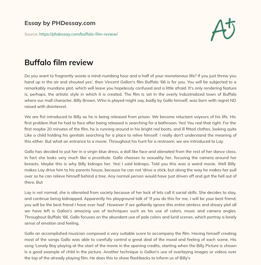 Buffalo film review essay
