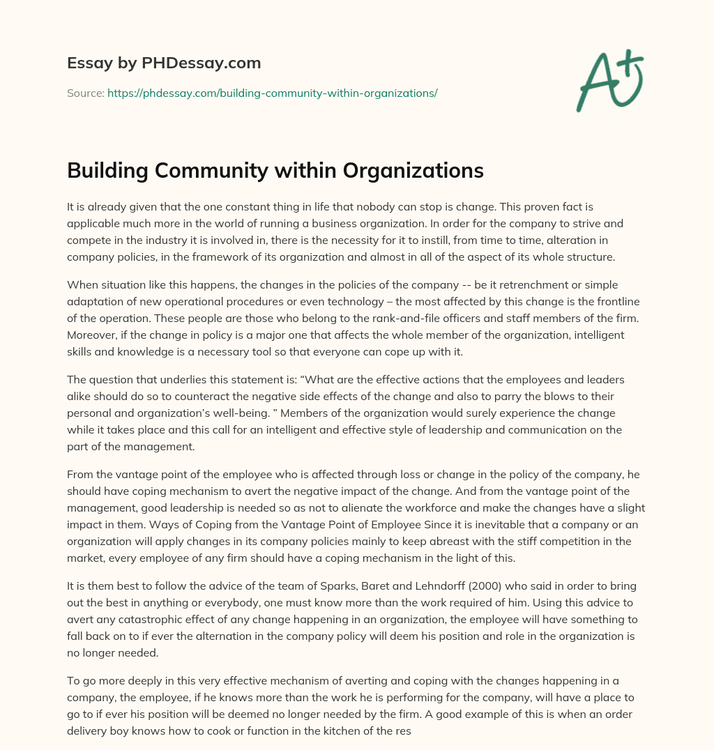 Building Community within Organizations essay