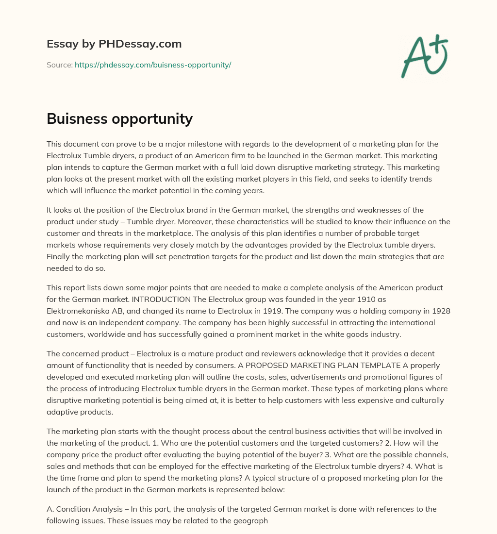 Buisness opportunity essay