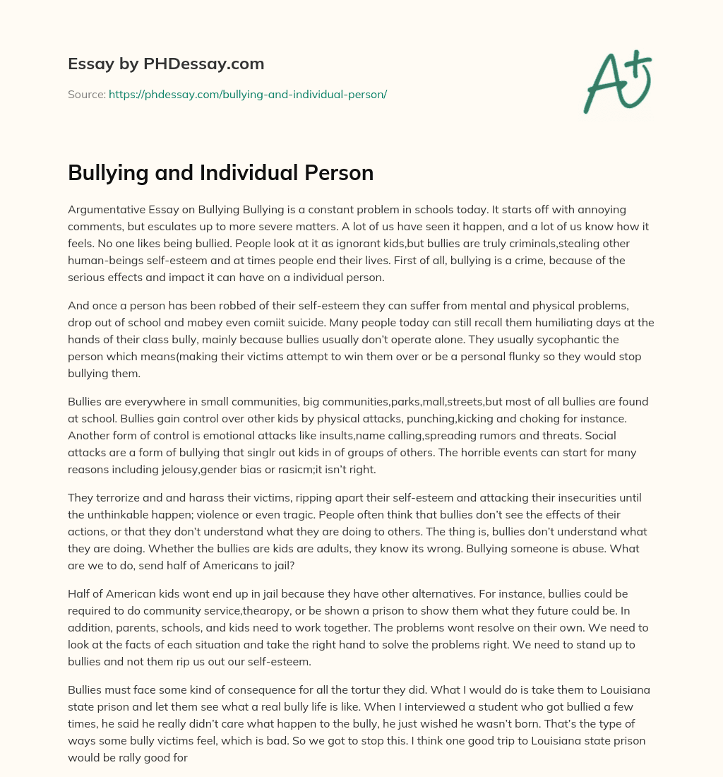 Bullying and Individual Person essay