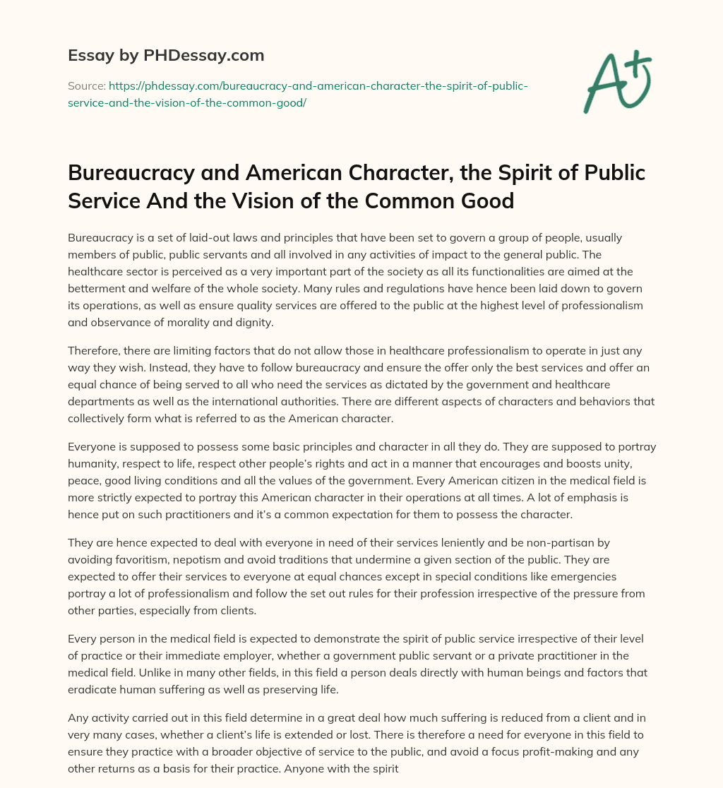 Bureaucracy and American Character, the Spirit of Public Service And the Vision of the Common Good essay