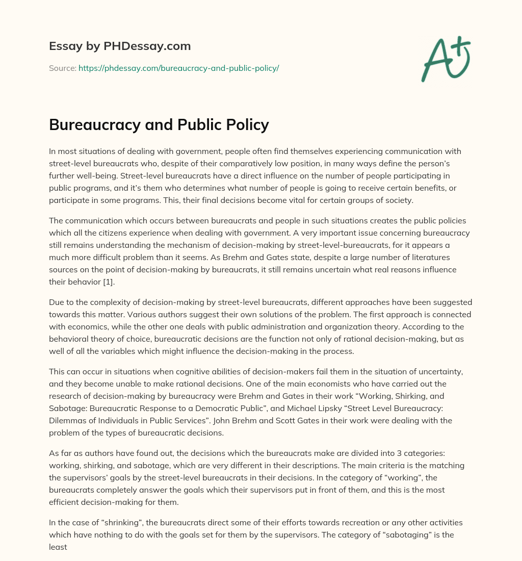 Bureaucracy and Public Policy essay