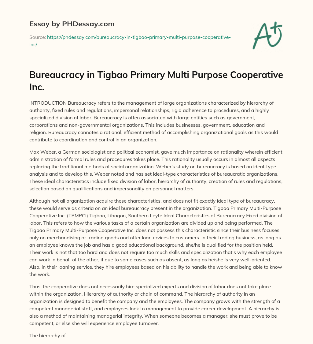 Bureaucracy in Tigbao Primary Multi Purpose Cooperative Inc. essay