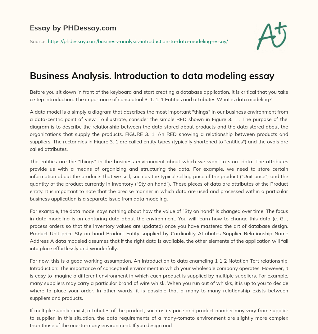 business analytics application essay