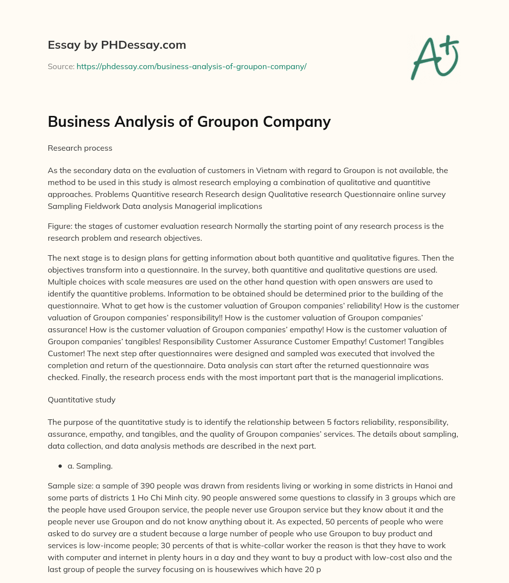 Business Analysis of Groupon Company essay