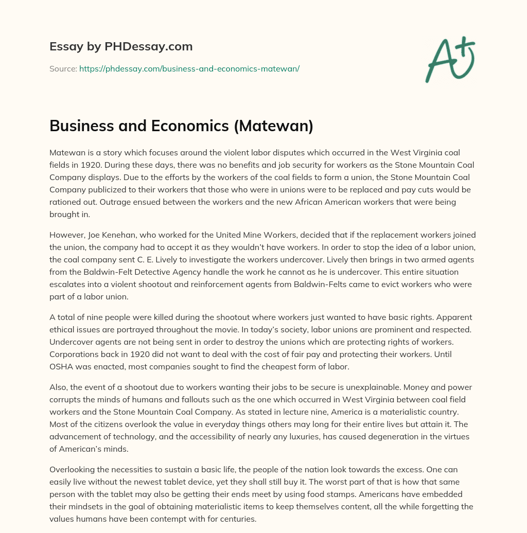 Business and Economics (Matewan) essay