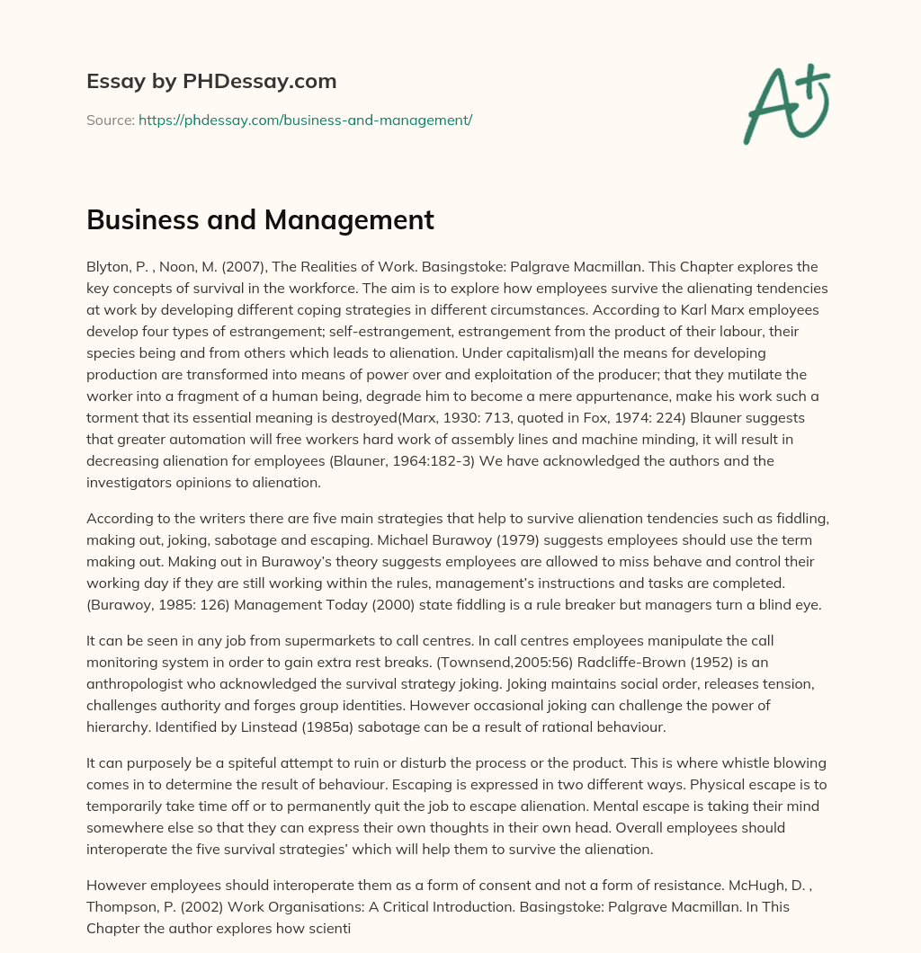 Business and Management essay