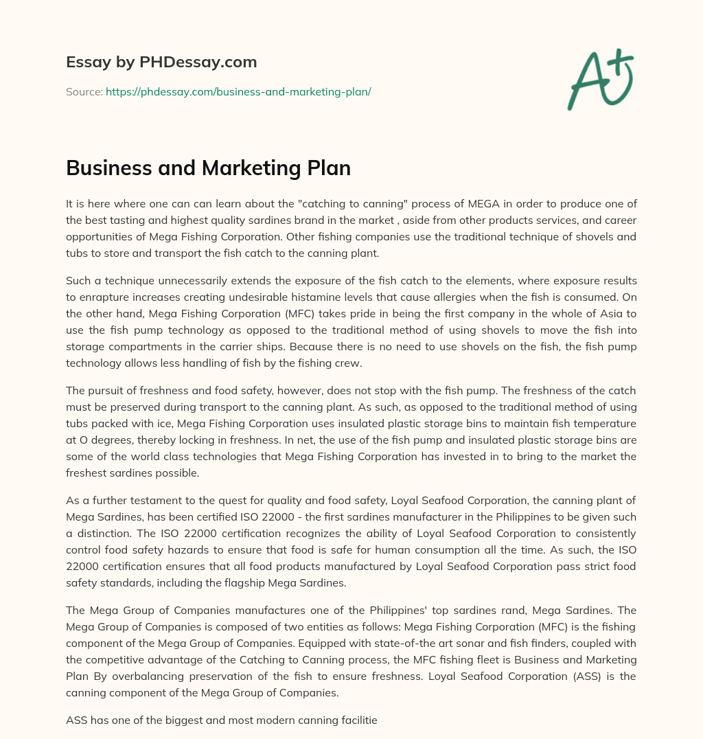Business and Marketing Plan essay