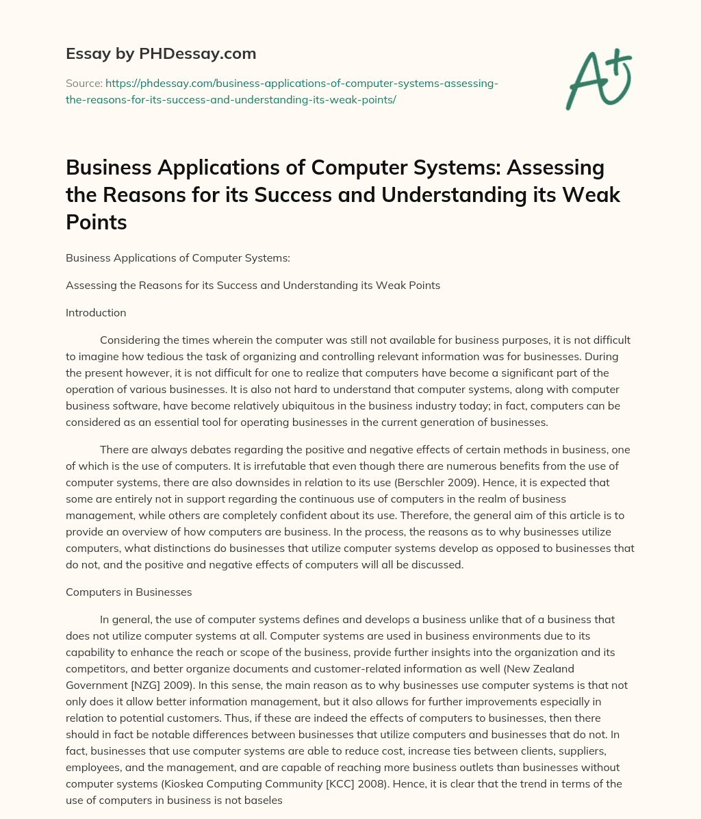 Business Applications of Computer Systems:  Assessing the Reasons for its Success and Understanding its Weak Points essay