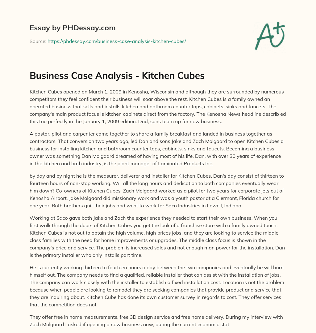 Business Case Analysis – Kitchen Cubes essay