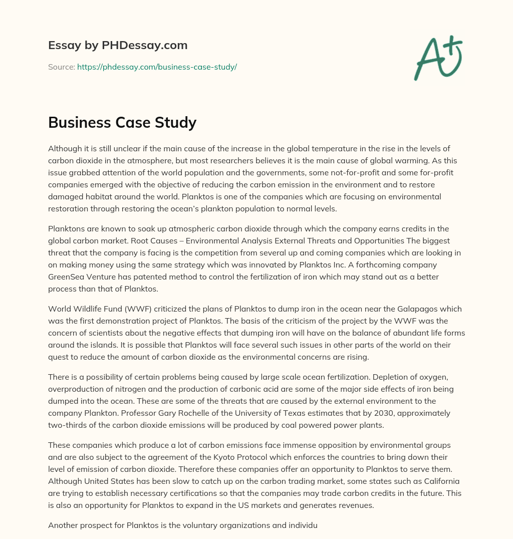 Business Case Study essay