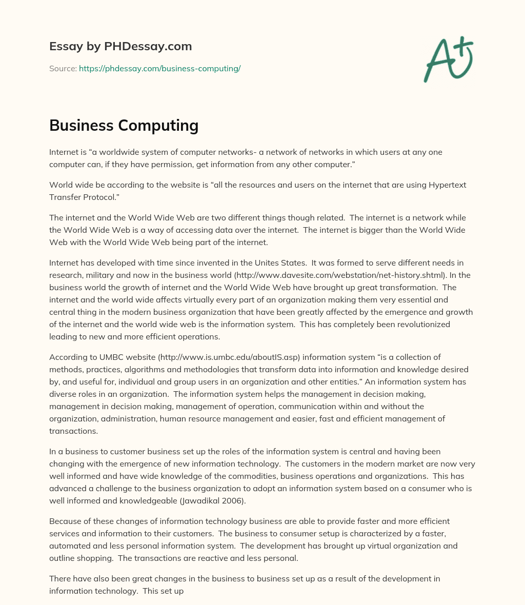 Business Computing essay