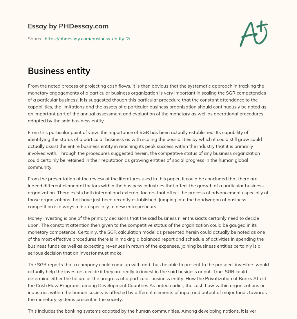 Business entity essay