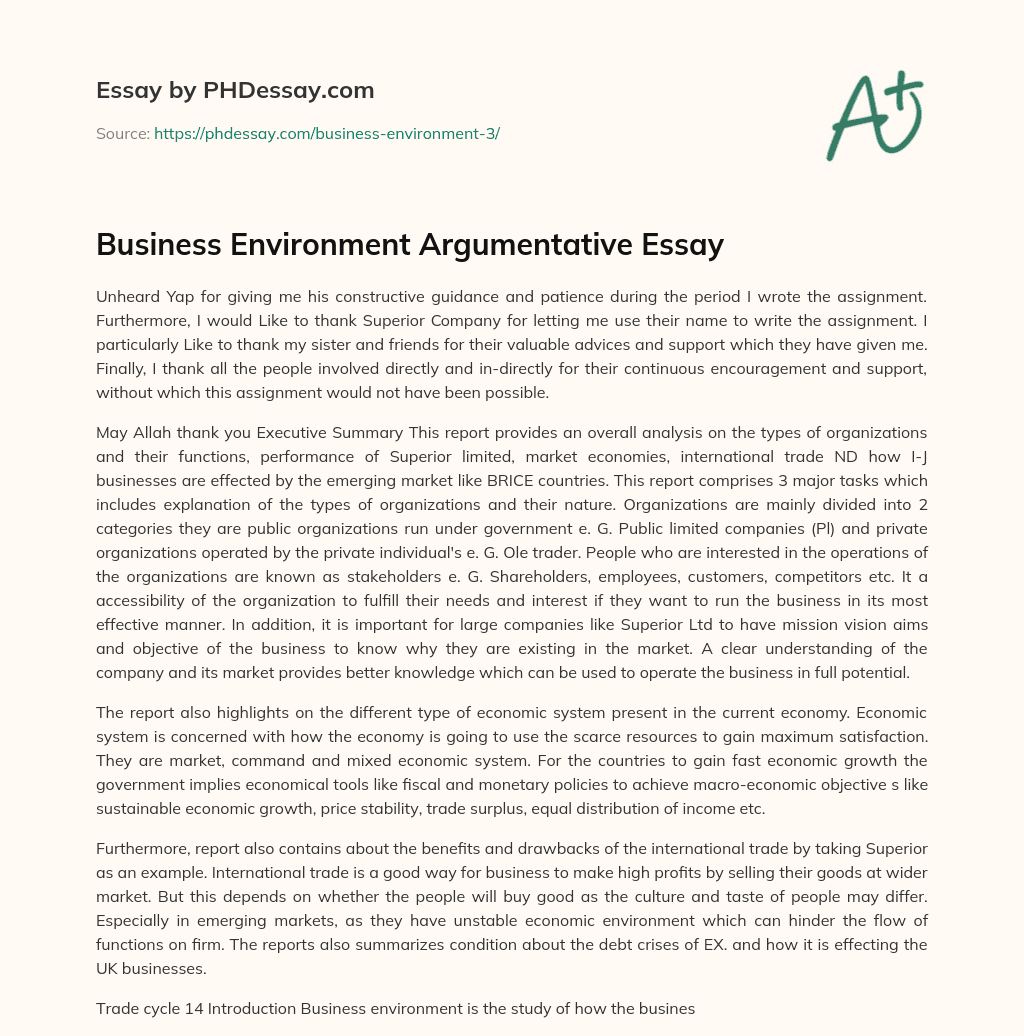 Business Environment Argumentative Essay essay