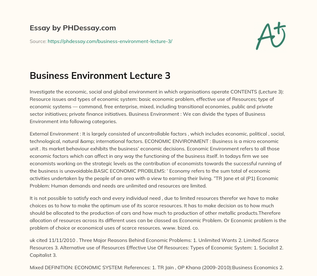 Business Environment Lecture 3 essay