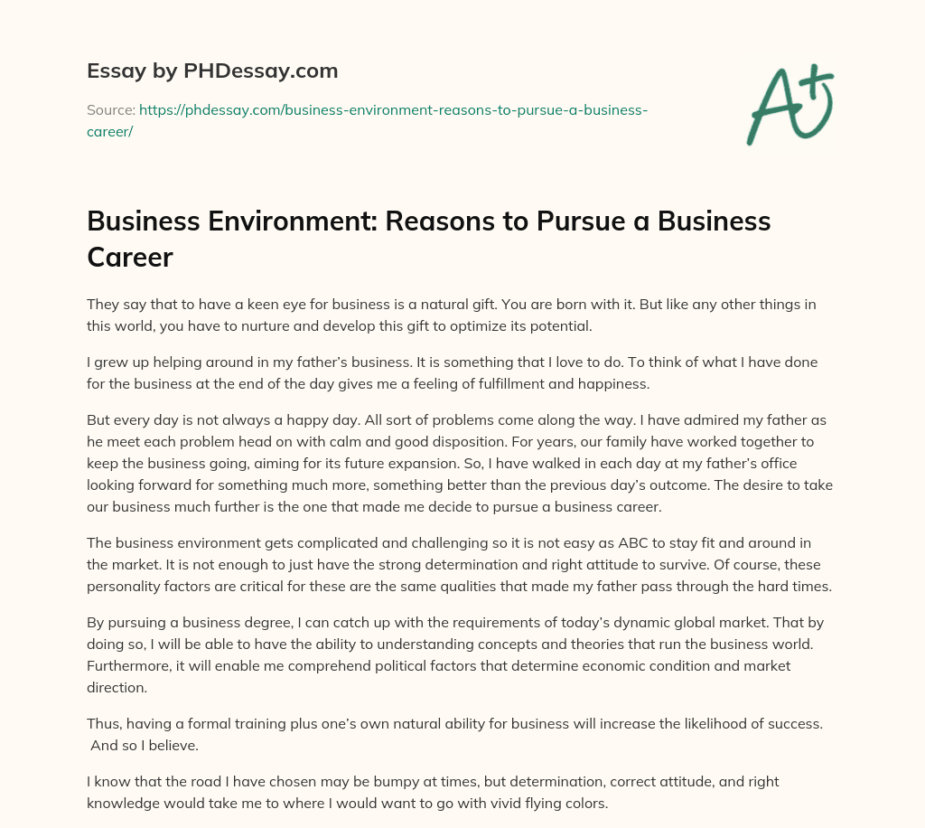 Business Environment: Reasons to Pursue a Business Career essay