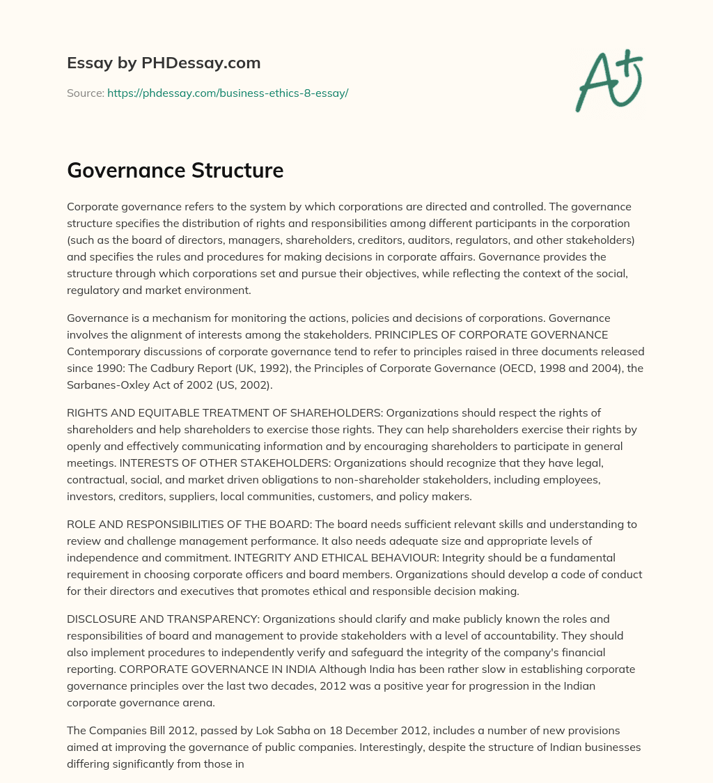Governance Structure essay