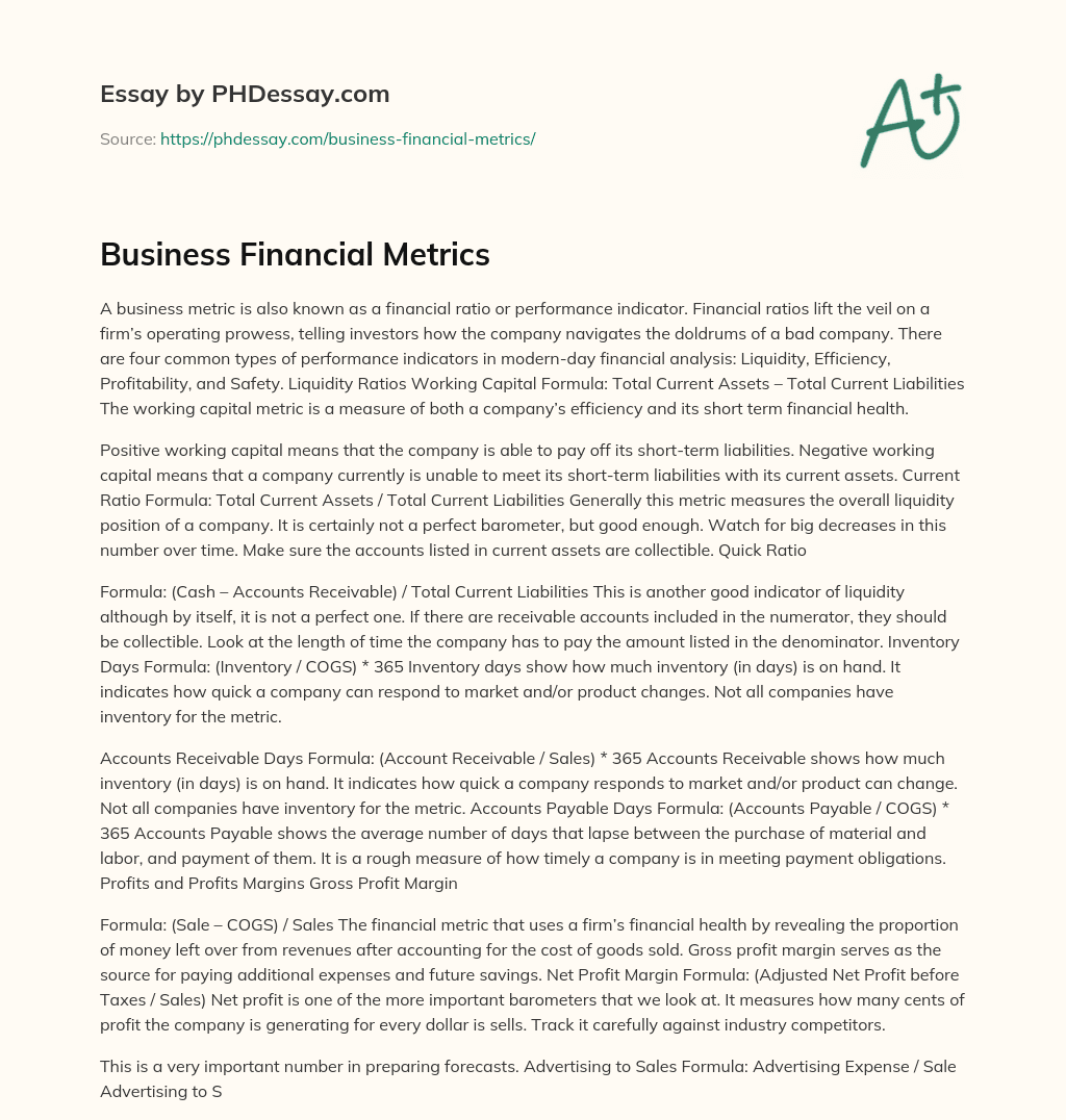 Business Financial Metrics essay