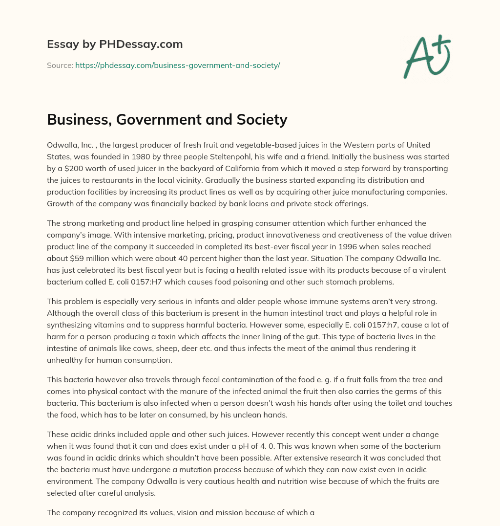 Business, Government and Society essay