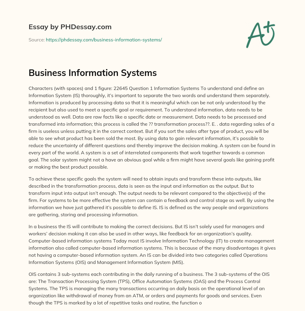 Business Information Systems essay