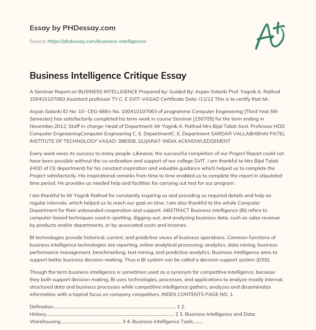 Business Intelligence Critique Essay essay