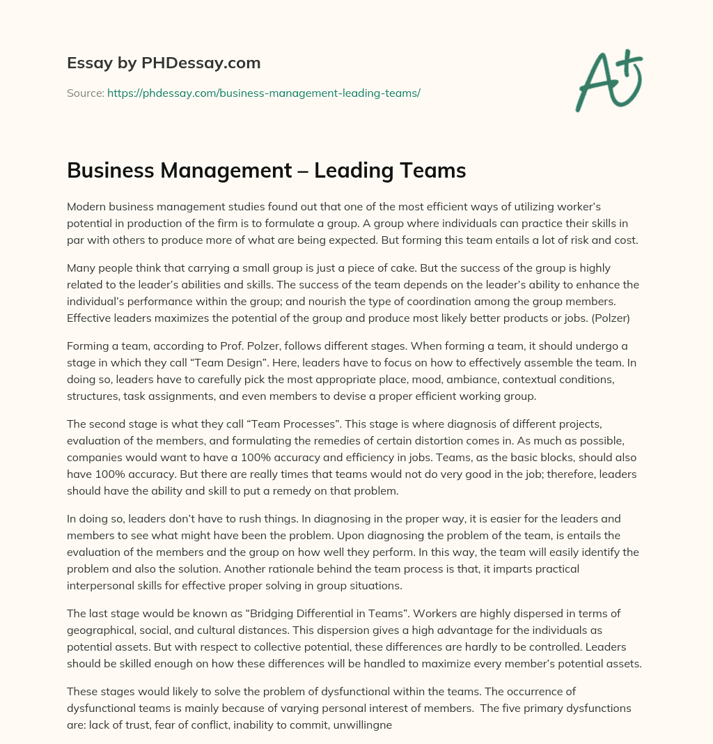 Business Management – Leading Teams essay