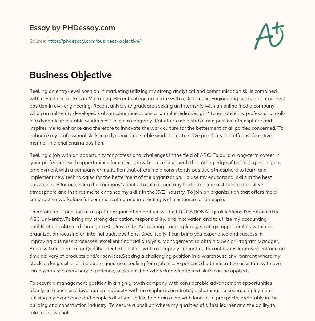 Job Seekers’ Objectives and Goals essay