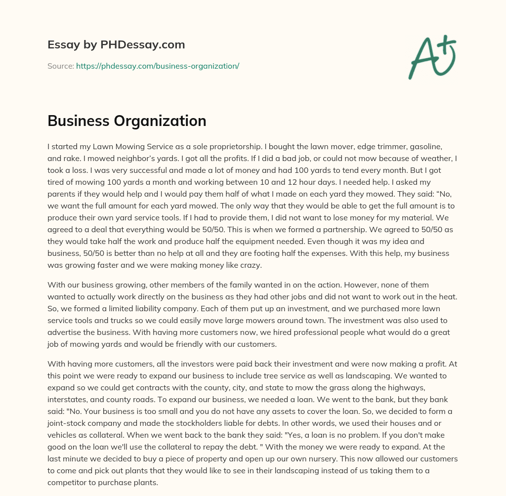 essay about an business organization