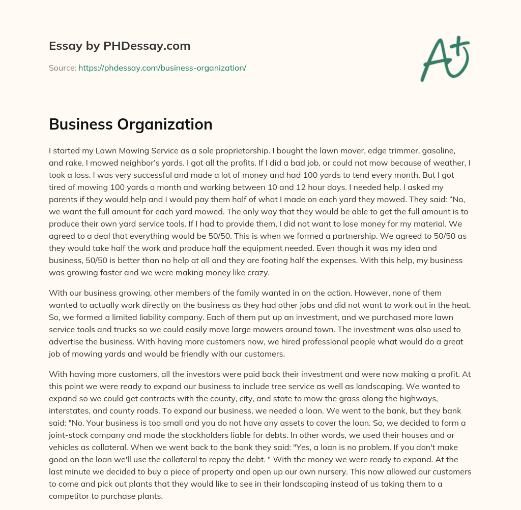 essay of business organization