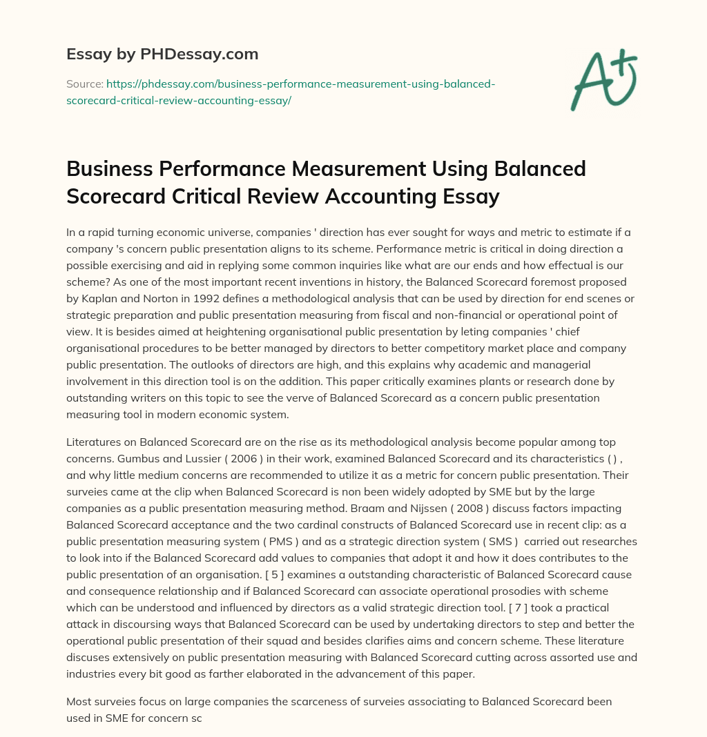 Business Performance Measurement Using Balanced Scorecard Critical Review Accounting Essay essay