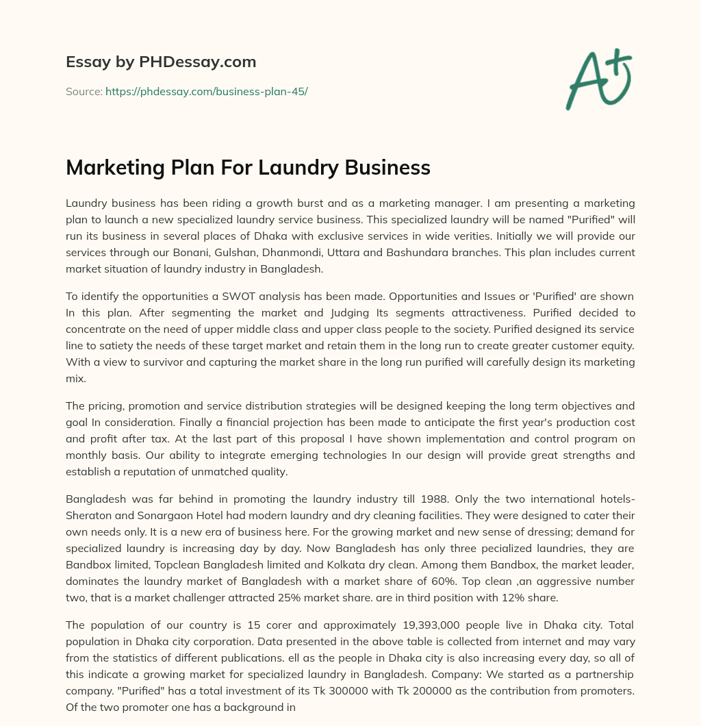 Marketing Plan For Laundry Business essay