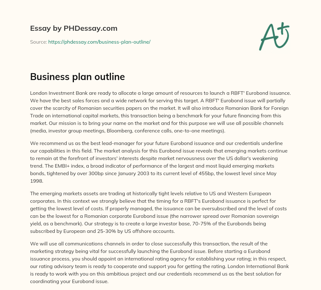 Business plan outline essay