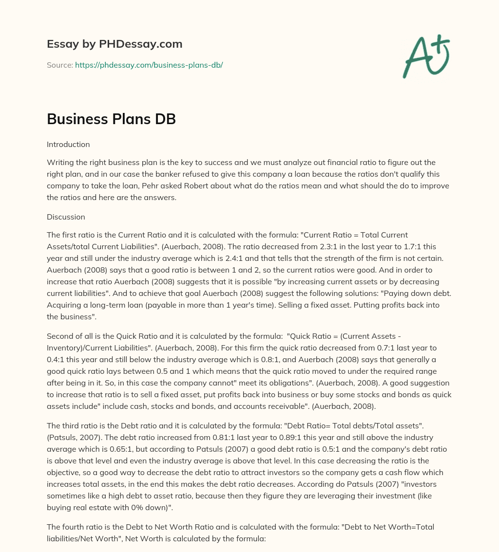 Business Plans DB essay