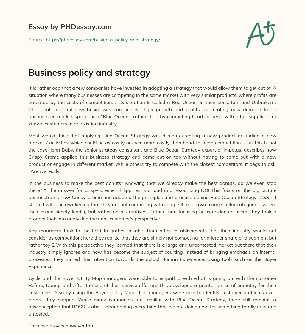 Business policy and strategy essay