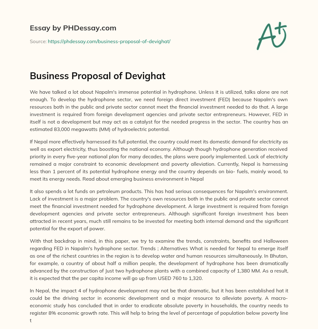 Business Proposal of Devighat essay