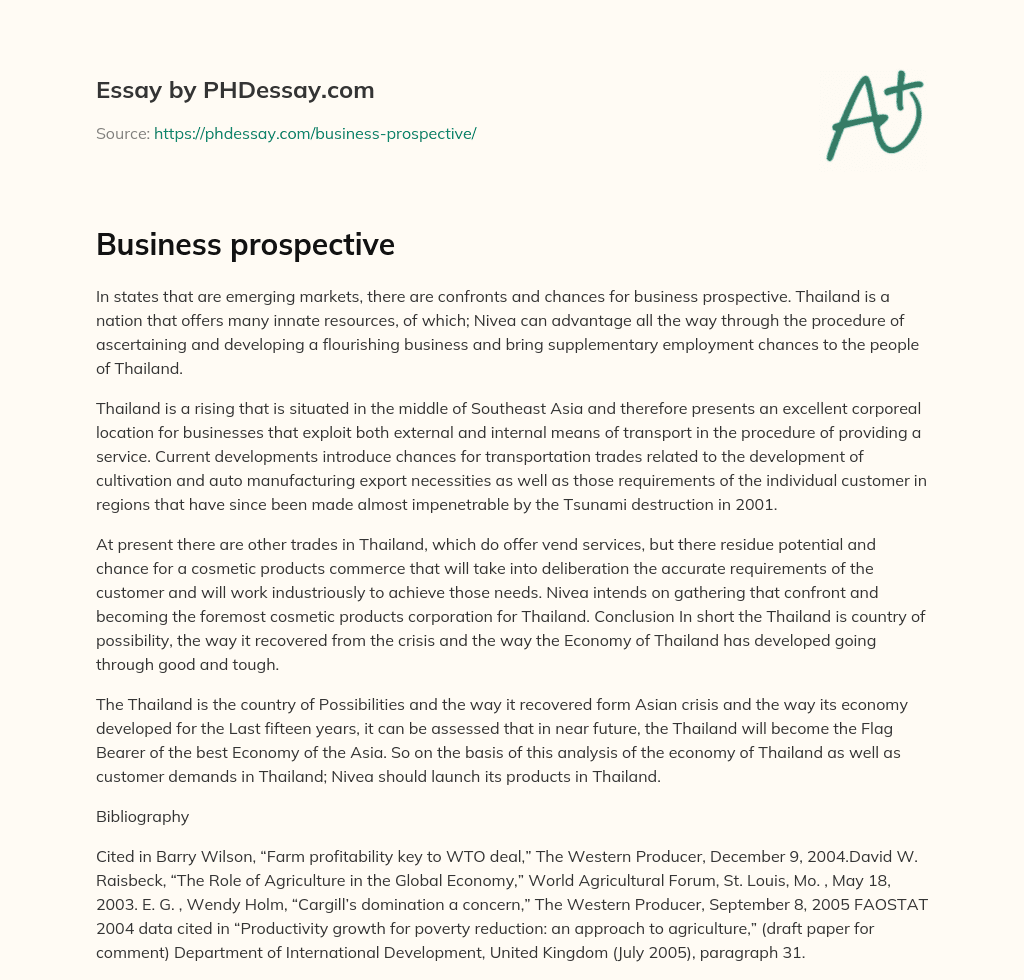 Business prospective essay