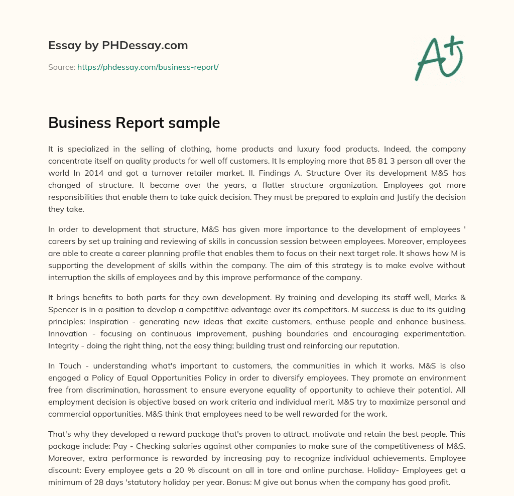 Business Report sample essay