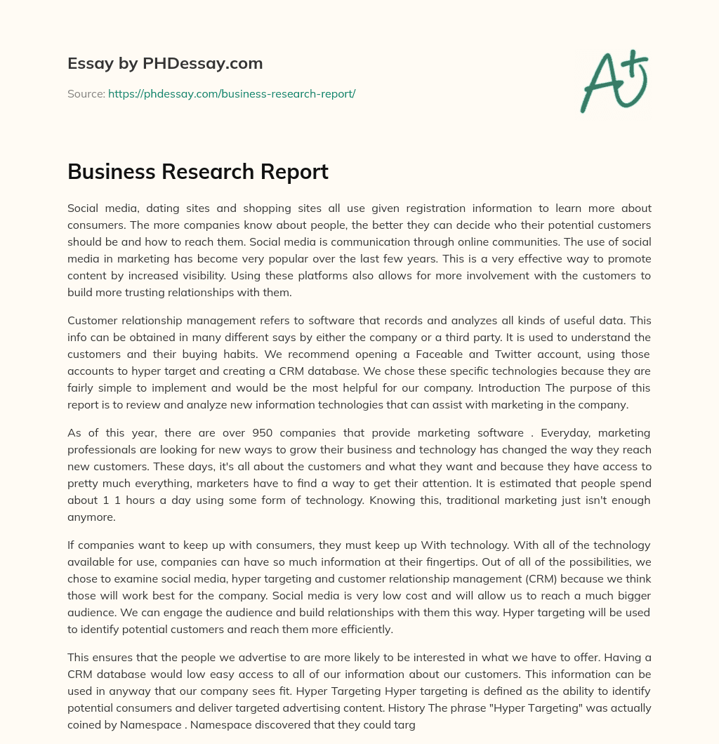 Business Research Report essay