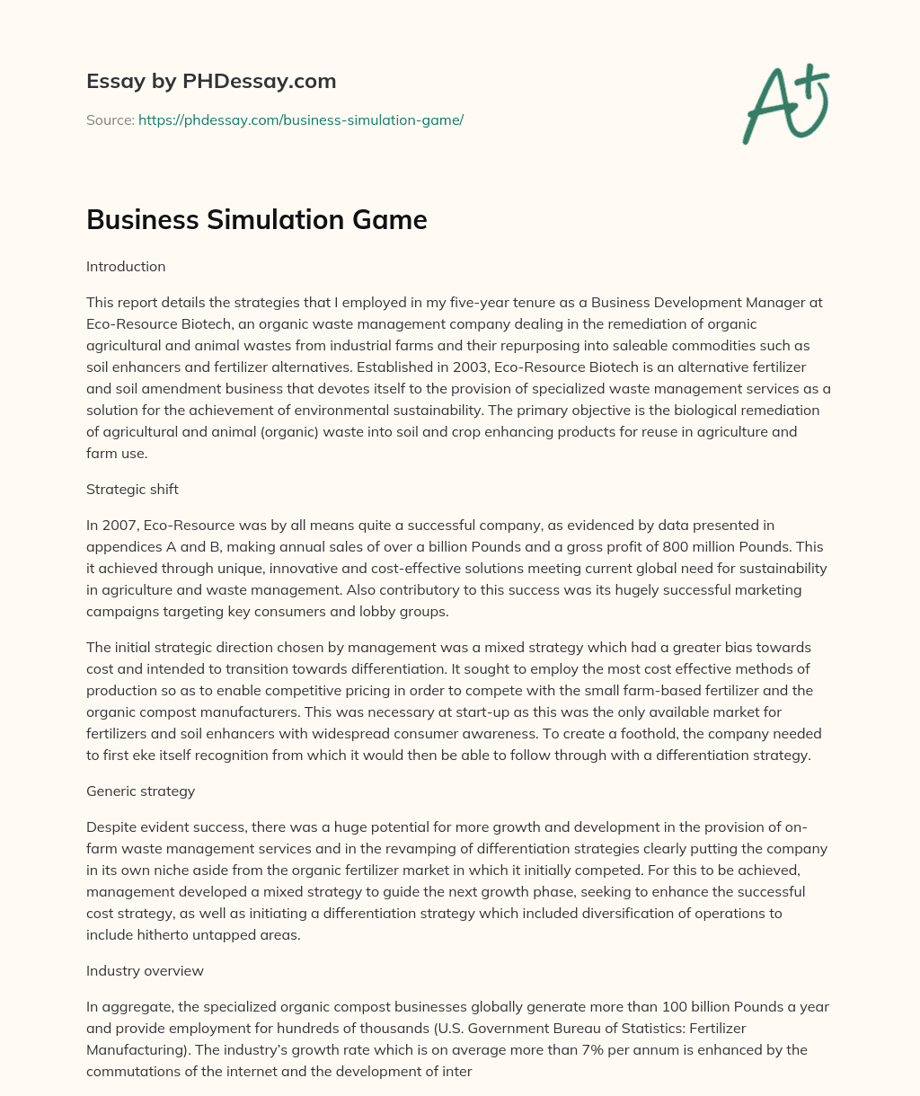 Business Simulation Game essay
