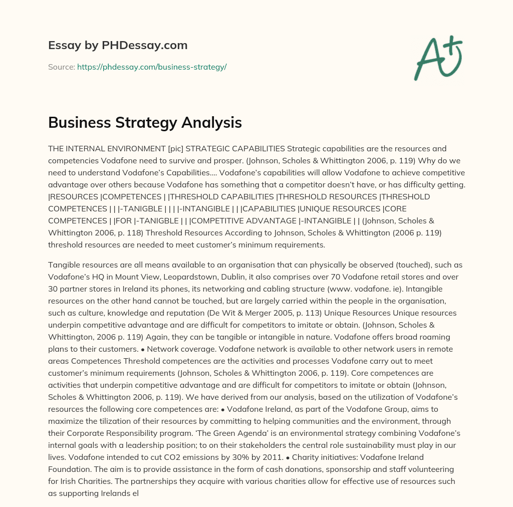 Business Strategy Analysis essay