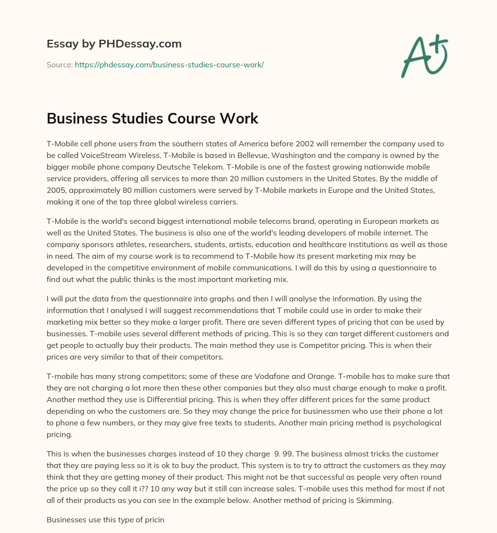 Business Studies Course Work essay