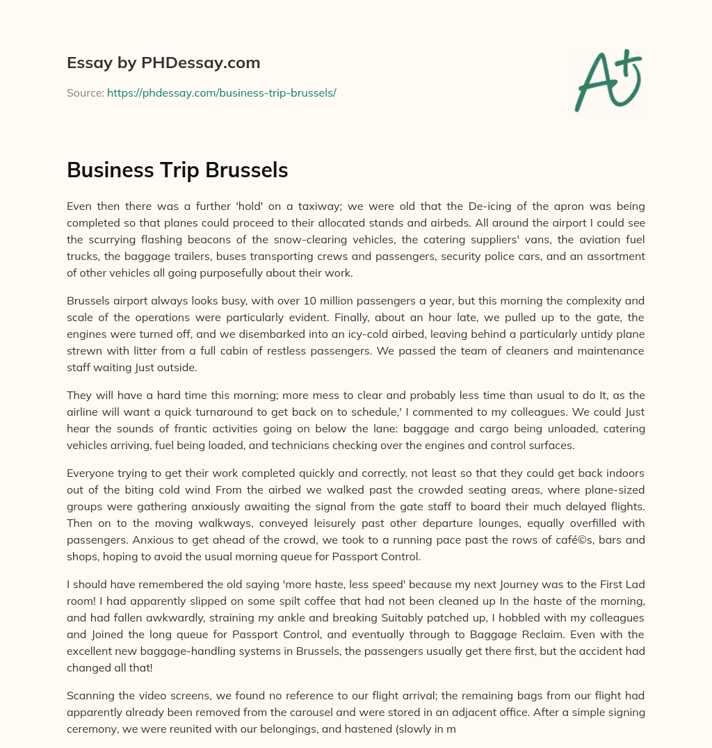 Business Trip Brussels essay
