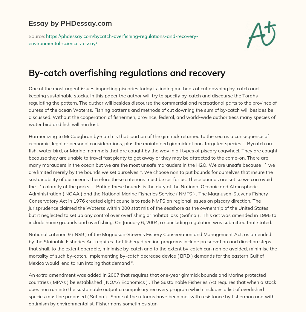 By-catch overfishing regulations and recovery essay