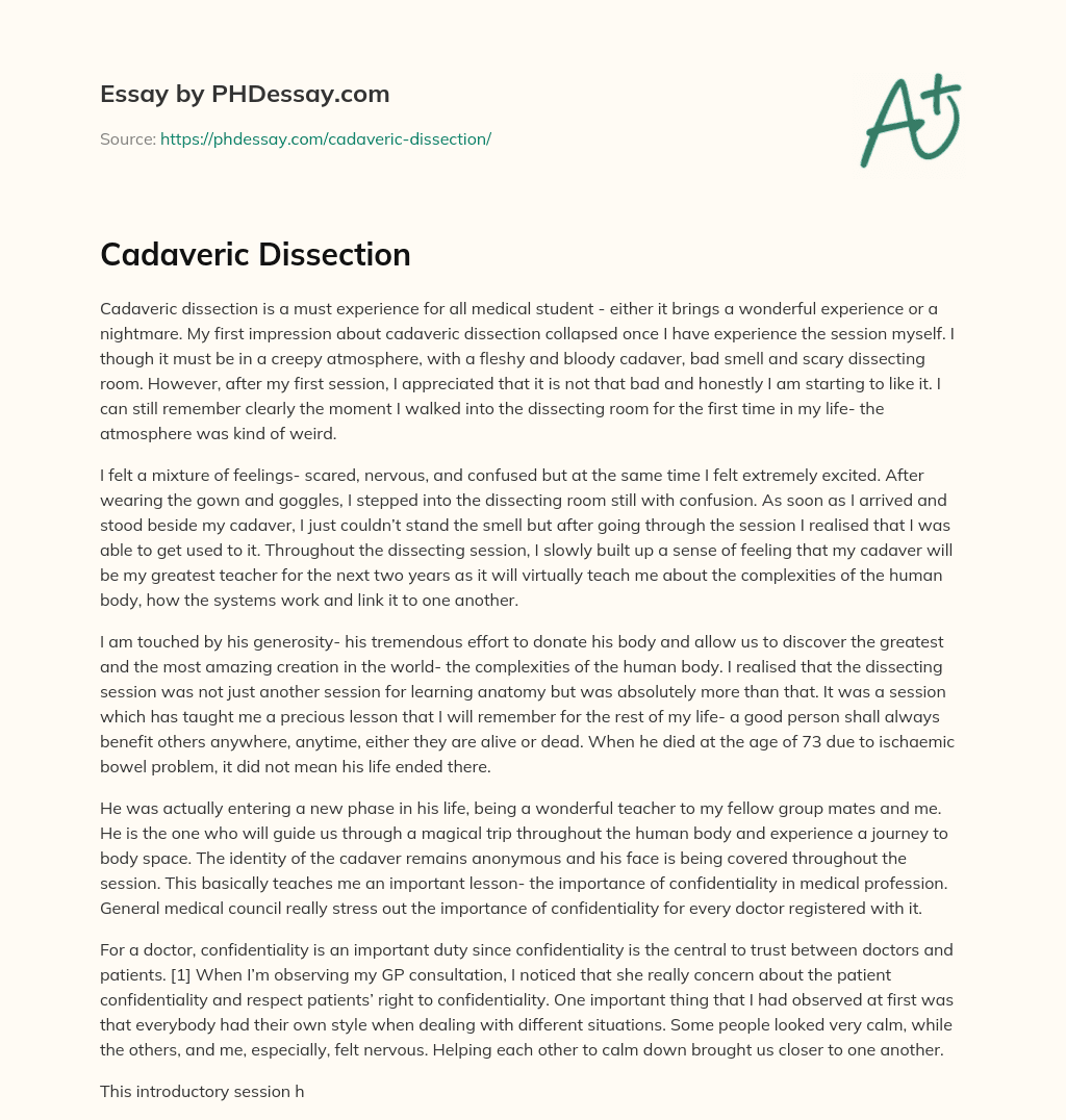 Cadaveric Dissection essay