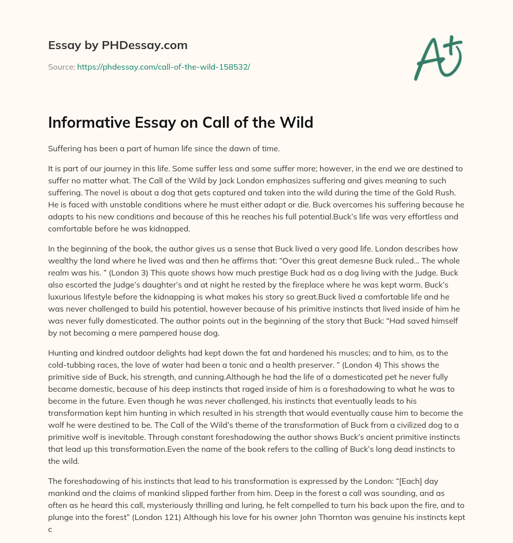 essay for call of the wild