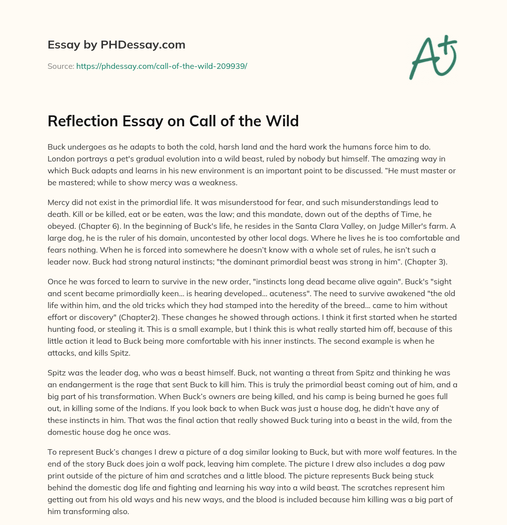 Reflection Essay on Call of the Wild essay